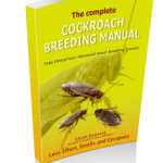 Cockroach Manual- Was $45, now $35