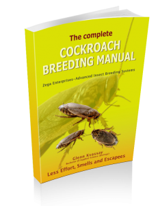 The Complete Cockroach Breeding Manual (Paperback Version)