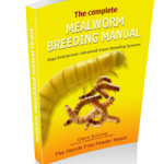 Mealworm Manual